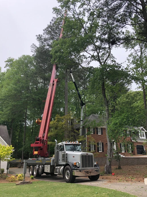 Professional tree cutting services in North Georgia with a crane