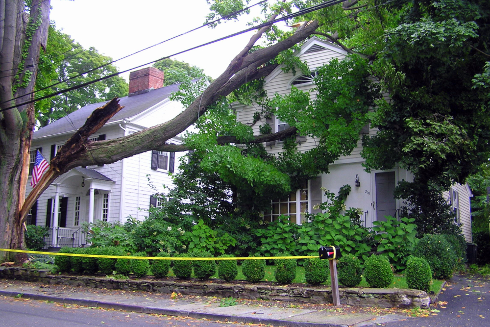 Emergency tree removal services in action in North Metro Atlanta